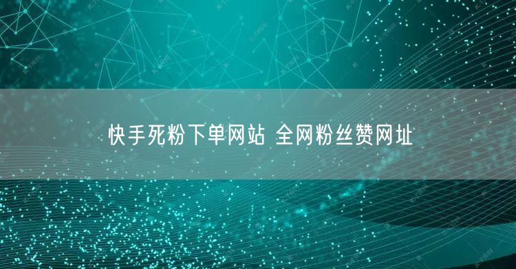 快手死粉下单网站 全网粉丝赞网址