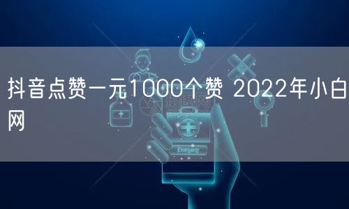抖音点赞一元1000个赞 2022年小白网