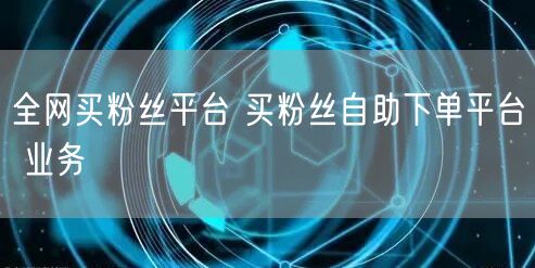 全网买粉丝平台 买粉丝自助下单平台 业务