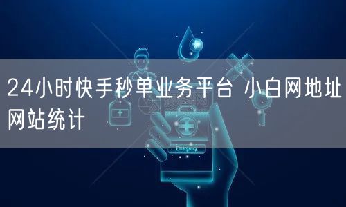 24小时快手秒单业务平台 小白网地址网站统计