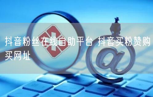 抖音粉丝在线自助平台 抖音买粉赞购买网址