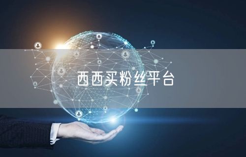 西西买粉丝平台