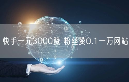 快手一元3000赞 粉丝赞0.1一万网站