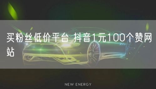买粉丝低价平台 抖音1元100个赞网站