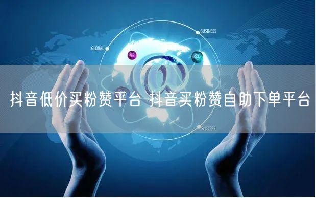 抖音低价买粉赞平台 抖音买粉赞自助下单平台
