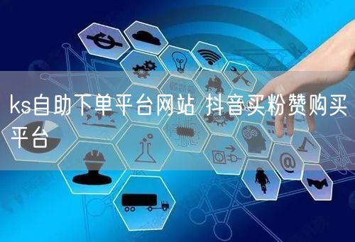 ks自助下单平台网站 抖音买粉赞购买平台