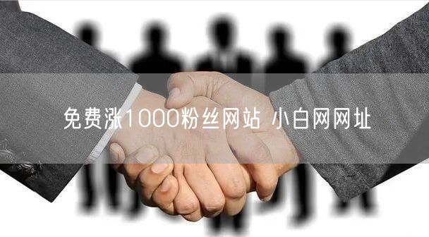 免费涨1000粉丝网站 小白网网址