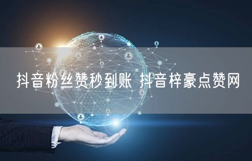 抖音粉丝赞秒到账 抖音梓豪点赞网