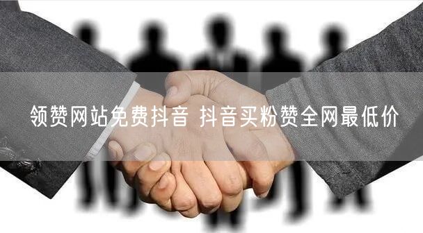 领赞网站免费抖音 抖音买粉赞全网最低价