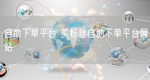 自助下单平台 买粉丝自助下单平台网站