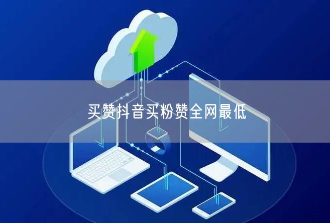 买赞抖音买粉赞全网最低