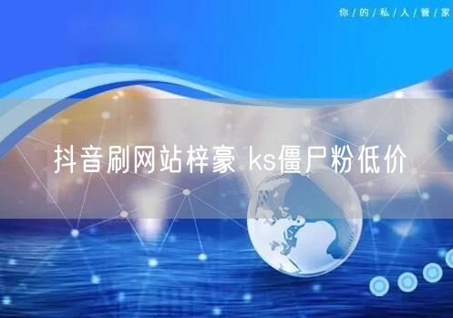 抖音刷网站梓豪 ks僵尸粉低价