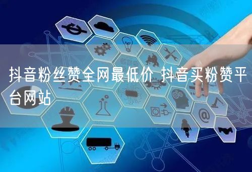 抖音粉丝赞全网最低价 抖音买粉赞平台网站