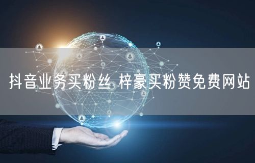 抖音业务买粉丝 梓豪买粉赞免费网站