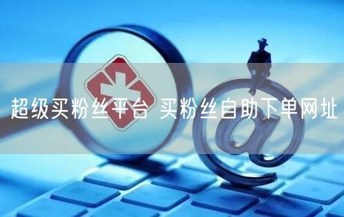 超级买粉丝平台 买粉丝自助下单网址
